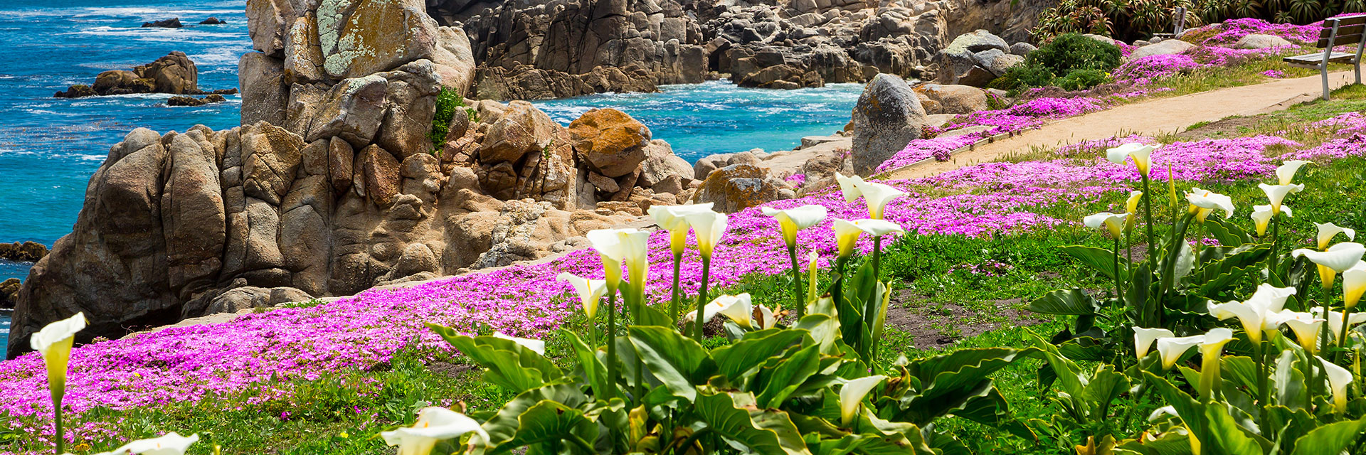 Top Things to Do In Monterey