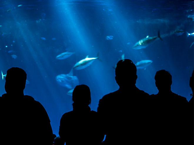Monterey Bay Aquarium at California