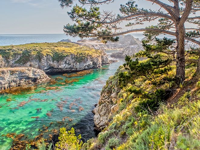 Point Lobos State Reserve
